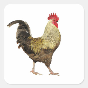 Cock-A-Doodle-Doo  sheet of Stickers