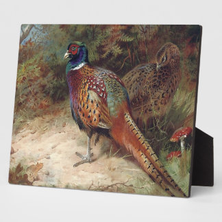 Cock And Hen Pheasant Plaque