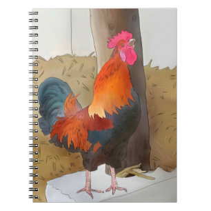 cock notebook