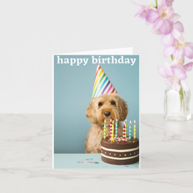 cockapoo birthday card (Orchid)