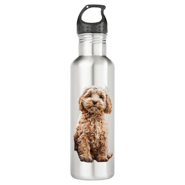 Cockapoo Cavoodle Labradoodle Cute Puppy Dog- Pood 710 Ml Water Bottle (Front)