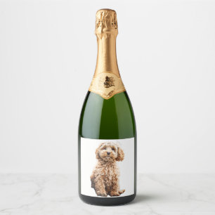 Cockapoo Cavoodle Labradoodle Cute Puppy Dog- Pood Sparkling Wine Label
