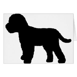 Cockapoo Dog