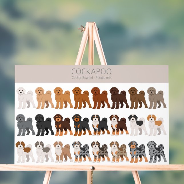 Cockapoo dog mix acrylic sign (Neutral)