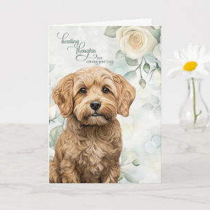 Cockapoo Dog White Roses and Sage Green Get Well Card