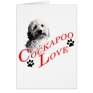 Cockapoo Love