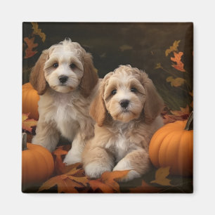 Cockapoo Puppy Autumn Delight Pumpkin  Magnet