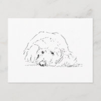 Cockapoo Puppy, Dog Lover Gift Ideas