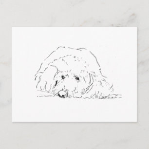 Cockapoo Puppy, Dog Lover Gift Ideas Postcard
