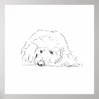 Cockapoo Puppy Poster, Dog Lover Gift Ideas Poster