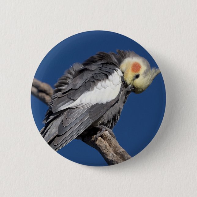 Cockatiel 6 Cm Round Badge (Front)