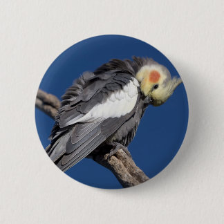 Cockatiel 6 Cm Round Badge