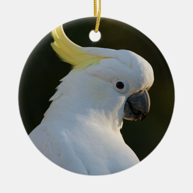 Cockatiel Bird Ceramic Ornament (Front)