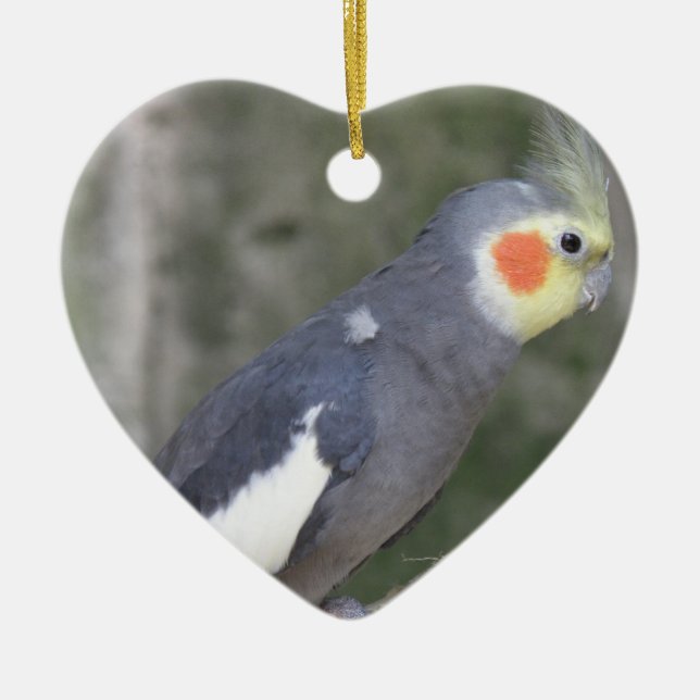 Cockatiel Bird Ceramic Tree Decoration (Front)