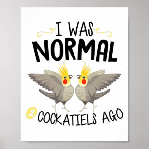 cockatiel bird pets birds pet animal poster
