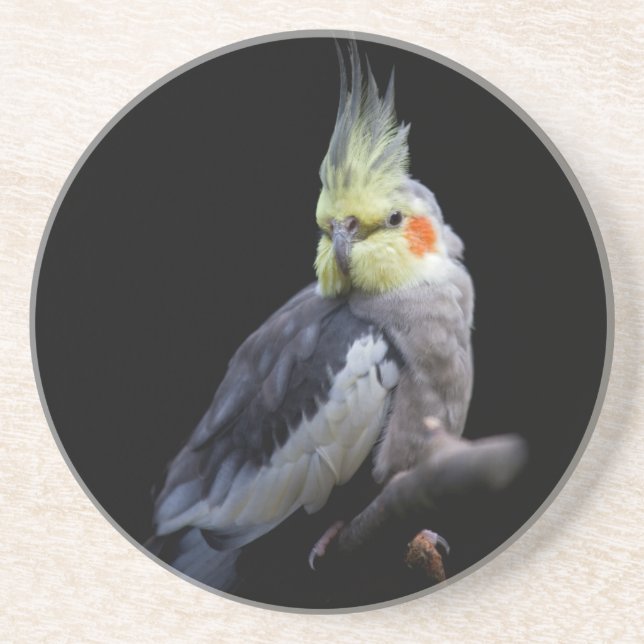Cockatiel Coaster (Front)