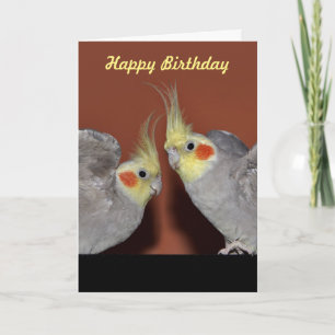 Cockatiel Duo Birthday Card (Customise Message)