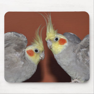 Cockatiel Duo Mousemat