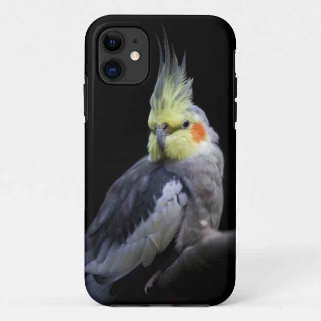 Cockatiel iPhone 5 Case-Mate Case (Back)