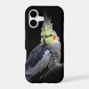 Cockatiel iPhone 5 Case-Mate Case