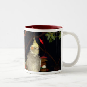 Cockatiel Mug - Customised