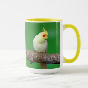 Cockatiel , Nymphicus hcus Mug