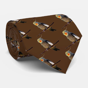 Cockatiel , Nymphicus hcus Tie