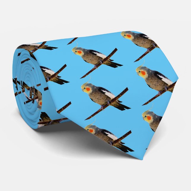 Cockatiel , Nymphicus hcus Tie (Rolled)