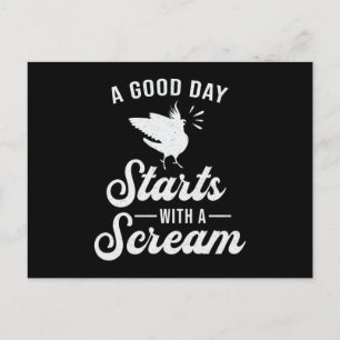 Cockatiel Owners A Good Day Cute Cockatiels Bird Postcard