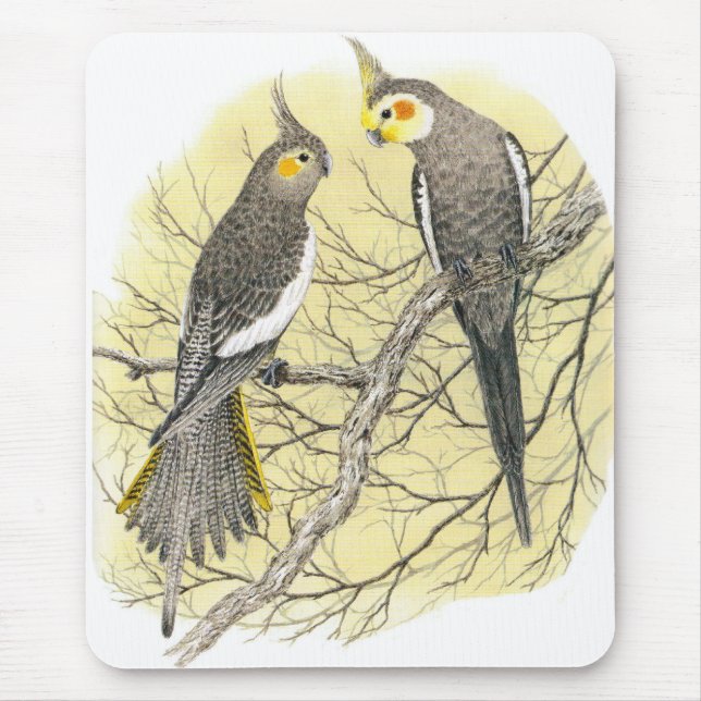 Cockatiel Pair - Nymphicus hollandicus Mouse Pad (Front)
