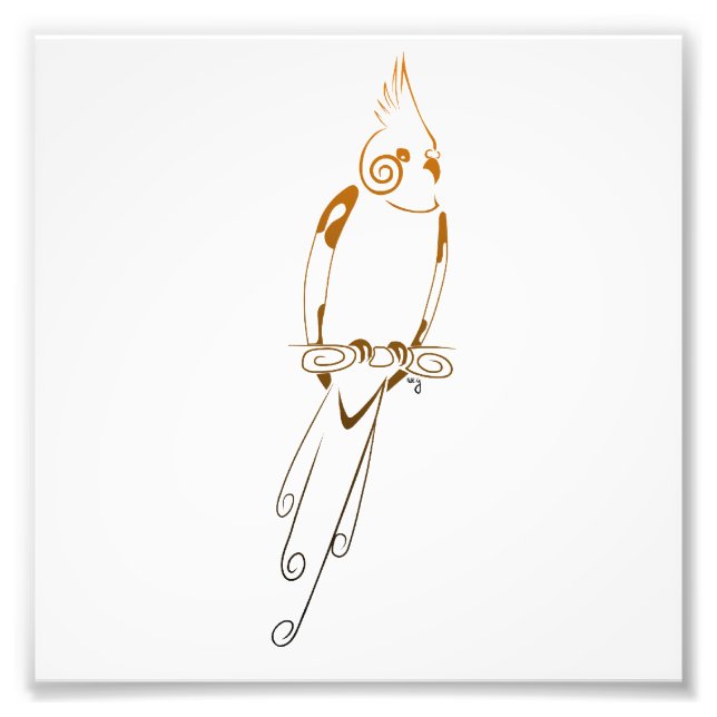Cockatiel Photo Print (Front)