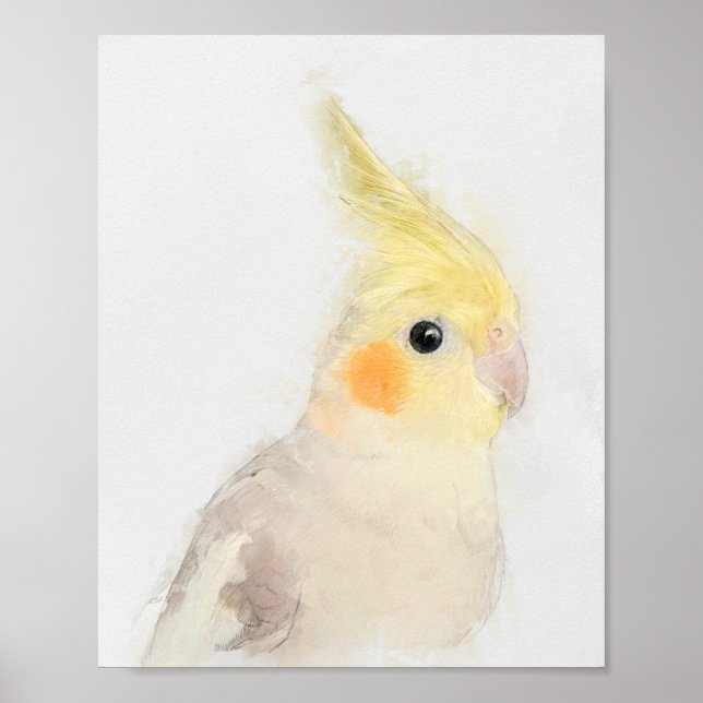 Cockatiel Portrait Poster (Front)