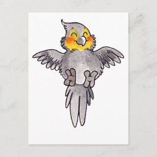 Cockatiel Postcard