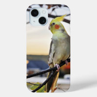 Cockatiel Profile Photograph