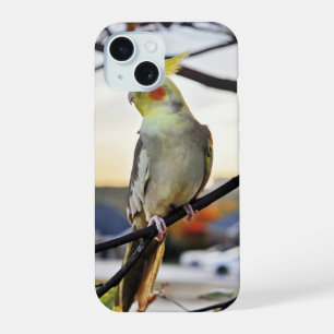 Cockatiel Profile Photograph iPhone 15 Case