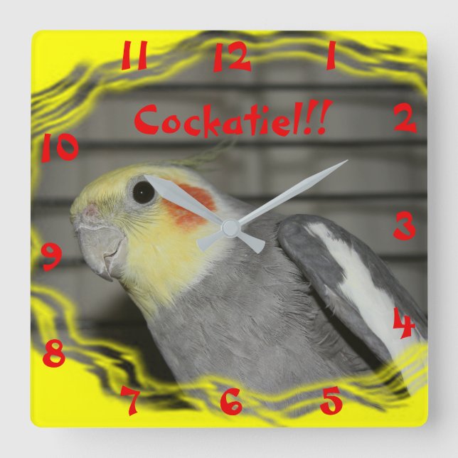 Cockatiel Wall Clock (Front)