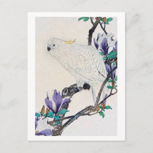Cockatoo and Lily Magnolia, Imao Keinen Postcard