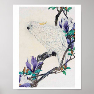 Cockatoo and Lily Magnolia, Imao Keinen Poster