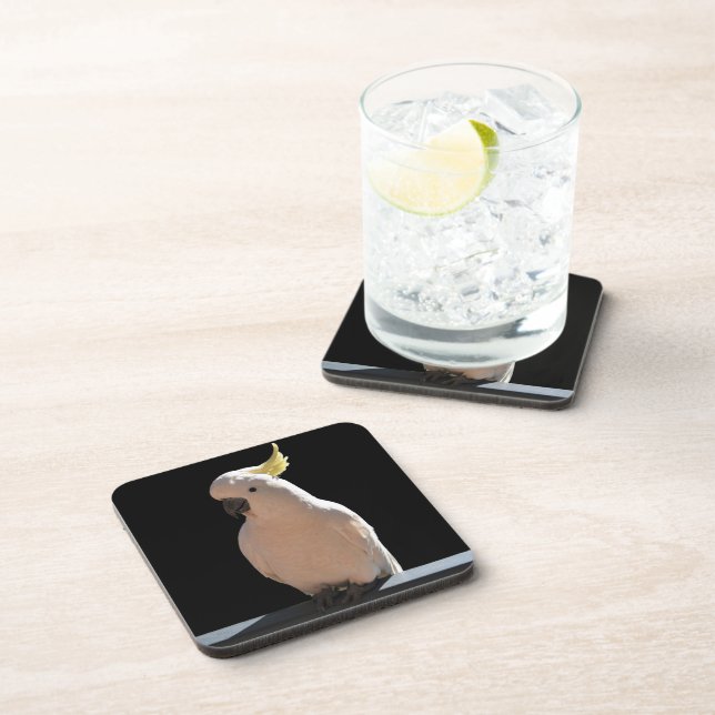 Cockatoo at Sundial Apartments Coasters (Right Side)