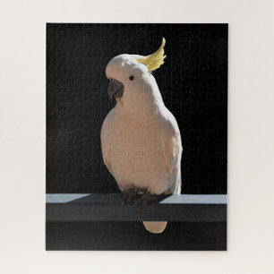 Cockatoo at Sundial Apartments Jigsaw Puzzle