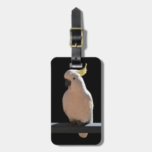 Cockatoo at Sundial Apartments Luggage Tag