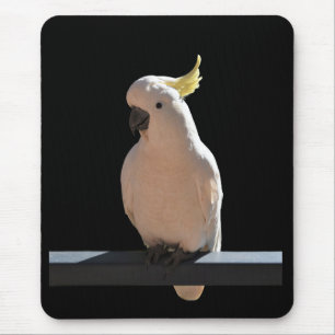 Cockatoo at Sundial Apartments Mousepad