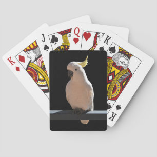 Cockatoo at Sundial Apartments Playing Cards