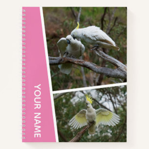 Cockatoo Australia Parrot Bird Photo Collage Pink Notebook