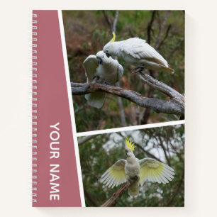Cockatoo Australia Parrot Bird Photos Rose Gold Notebook
