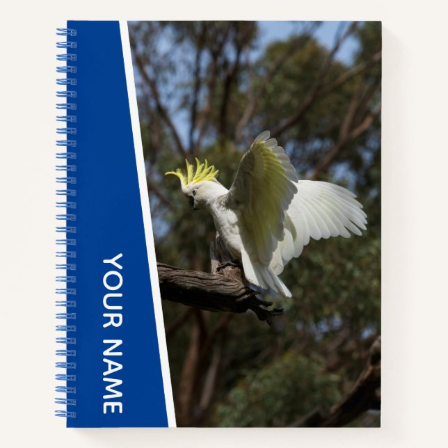 Cockatoo Australia Parrot Bird Wings, Blue Notebook (Front)