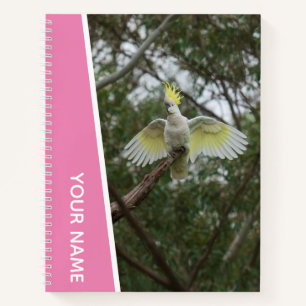 Cockatoo Australia Parrot Bird Wings, Pink Notebook
