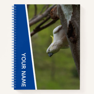 Cockatoo Australia Parrot Upside Down, Funny Blue Notebook