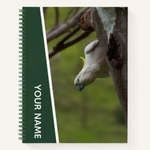Cockatoo Australia Parrot Upside Down, Funny Green Notebook