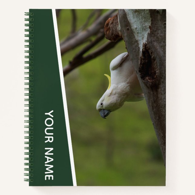 Cockatoo Australia Parrot Upside Down, Funny Green Notebook (Front)
